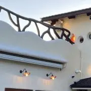 ネコ