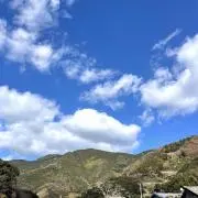 コットの画像