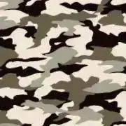 リリィの画像