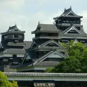 たもさんの画像