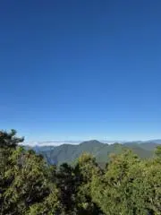 タローの画像