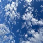 ソラの画像