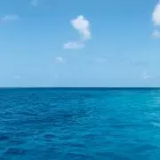 あららの画像