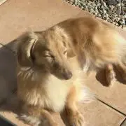 本日限定価格 Ben Davis スタジャン 緑/白 1935年設立 - メルカリ