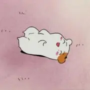 シロの画像