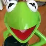 ケロケロカーミットの画像