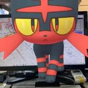 しんちゃんの画像