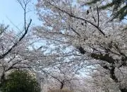 clapの画像