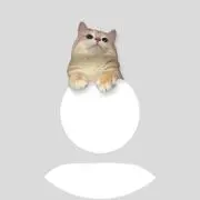 なーちゃむの画像