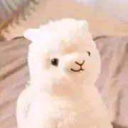 ゆうの断捨離生活✨の画像
