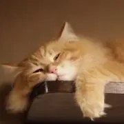 るるるん☆