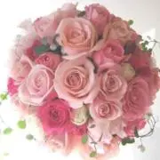 mimi♡の画像