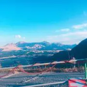 miniの画像