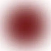 ぽんかんの画像