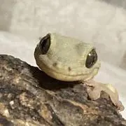 ゆみきち