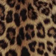 mimiプロフ必読°ʚɞ°.の画像