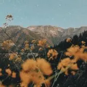 RSの画像