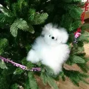 Margieの画像