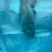 s_の画像
