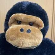 やまももの画像