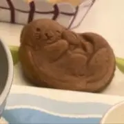 アズキの画像