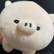 アサボウズの画像