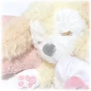 りゆの画像