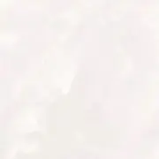 sho♡の画像