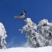 ボバンの画像