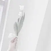 Hinataの画像