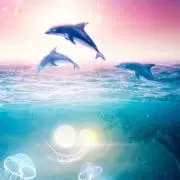 メイリャンナイの画像