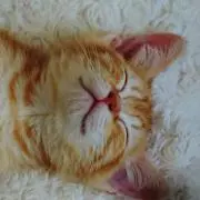 ☆みほ☆