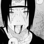 お肉の画像