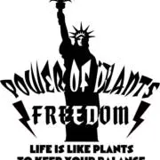 POWER OF PLANTSの画像