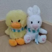 ぴぃの画像