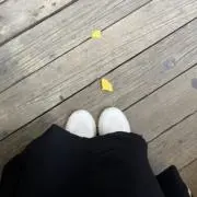 ikaの画像