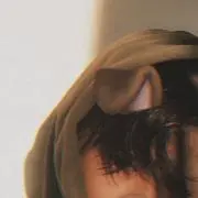 モンステラの画像