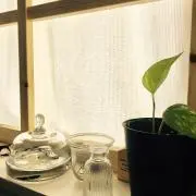 YUKIKOの画像