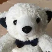 ＊maco＊の画像
