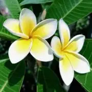 urakoron✨春セール開催✿