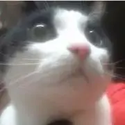 ここの画像