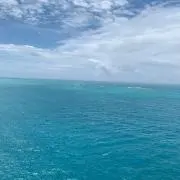 わいずの画像