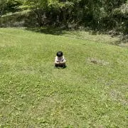 いずみの画像