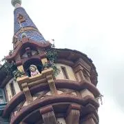 するめの画像