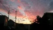 ぺんきちの画像
