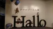 ゆめの画像