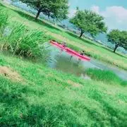 みゆゆみの画像