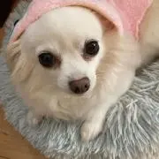k_mの画像