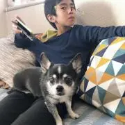 ネネ♥︎︎∗︎*゜おまとめ割有りの画像