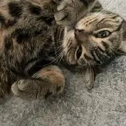 marinaMONARIZAの画像